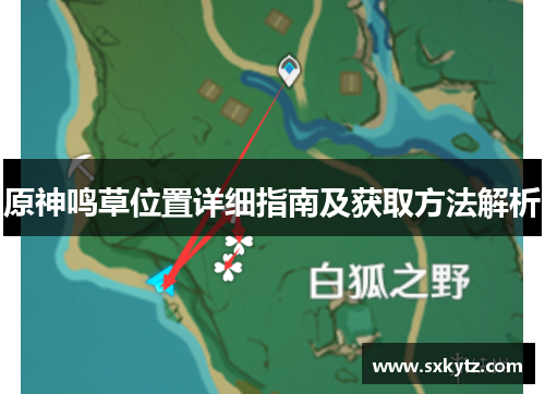 原神鸣草位置详细指南及获取方法解析