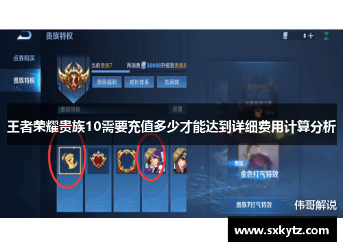 王者荣耀贵族10需要充值多少才能达到详细费用计算分析